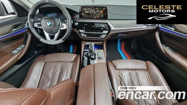 BMW Série 5 (G30) 530i xDrive Luxury Plus 2019 — photo 10 sur 35