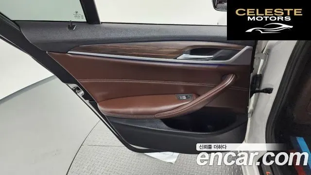 BMW Série 5 (G30) 530i xDrive Luxury Plus 2019 — photo 15 sur 35