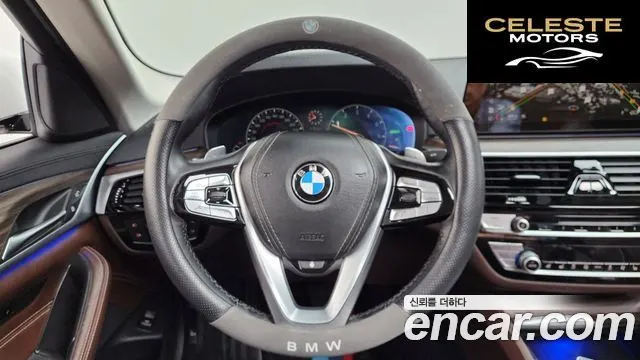 BMW Série 5 (G30) 530i xDrive Luxury Plus 2019 — photo 19 sur 35