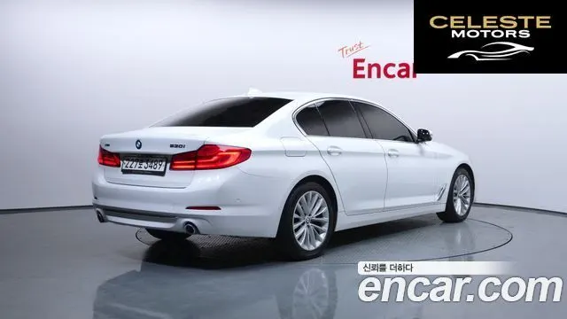 BMW Série 5 (G30) 530i xDrive Luxury Plus 2019 — photo 2 sur 35