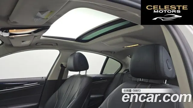 BMW Série 5 (G30) 520i Luxury 2018 — photo 16 sur 20