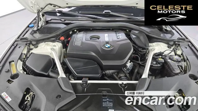 BMW Série 5 (G30) 520i Luxury 2018 — photo 6 sur 20