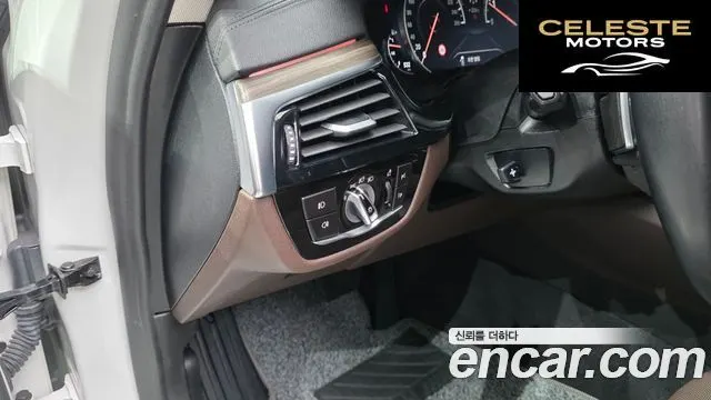 BMW Série 5 (G30) 530i xDrive Luxury Plus 2018 — photo 35 sur 36