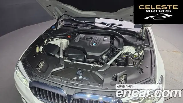 BMW Série 5 (G30) 530i xDrive Luxury Plus 2018 — photo 6 sur 36
