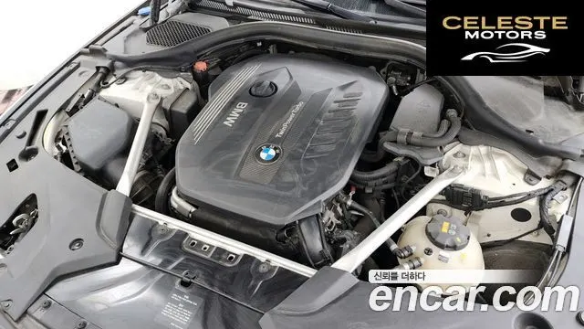 BMW Série 5 (G30) 530d Luxury Plus 2018 — photo 6 sur 26