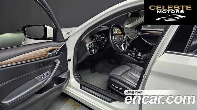 BMW Série 5 (G30) 520d Luxury Plus 2019 — photo 10 sur 20