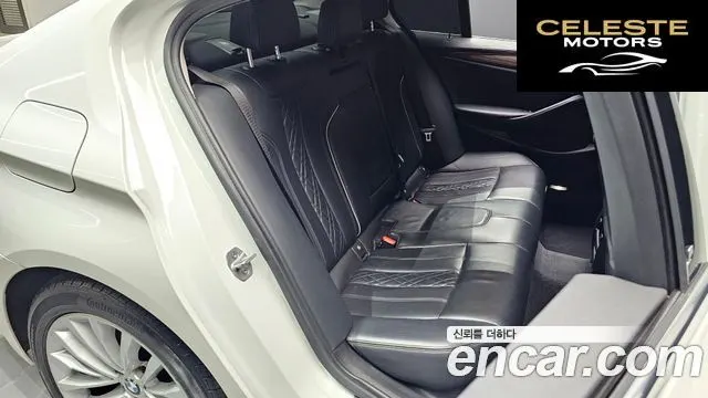 BMW Série 5 (G30) 520d Luxury Plus 2019 — photo 11 sur 20