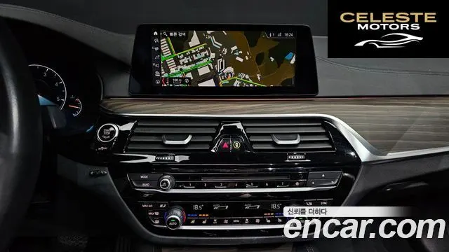 BMW Série 5 (G30) 520d Luxury Plus 2019 — photo 12 sur 20