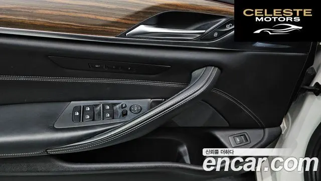 BMW Série 5 (G30) 520d Luxury Plus 2019 — photo 18 sur 20