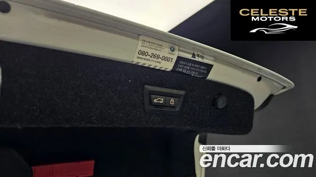 BMW Série 5 (G30) 520d Luxury Plus 2019 — photo 20 sur 20