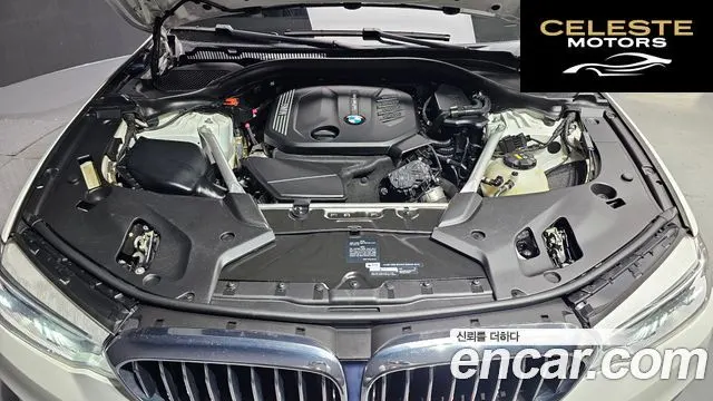 BMW Série 5 (G30) 520d Luxury Plus 2019 — photo 6 sur 20