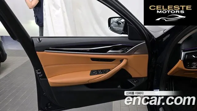 BMW Série 5 (G30) 520i Luxury 2020 — photo 14 sur 31