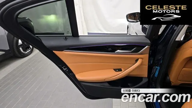 BMW Série 5 (G30) 520i Luxury 2020 — photo 15 sur 31