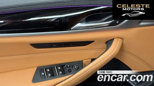 BMW Série 5 (G30) 520i Luxury 2020 — photo 28 sur 31
