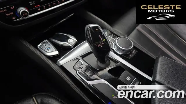 BMW Série 5 (G30) 520i Luxury 2019 — photo 11 sur 32