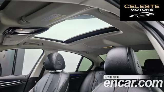 BMW Série 5 (G30) 520i Luxury 2019 — photo 29 sur 32