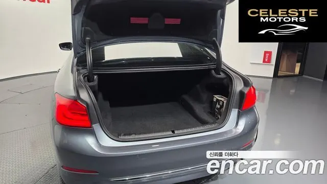 BMW Série 5 (G30) 520i Luxury 2019 — photo 31 sur 32