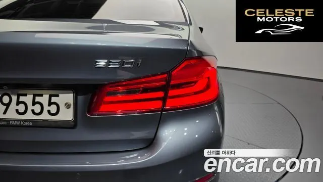 BMW Série 5 (G30) 520i Luxury 2019 — photo 8 sur 32