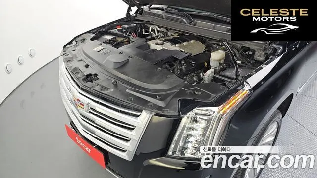 CADILLAC 6.2 ESV 2018 — photo 6 sur 20
