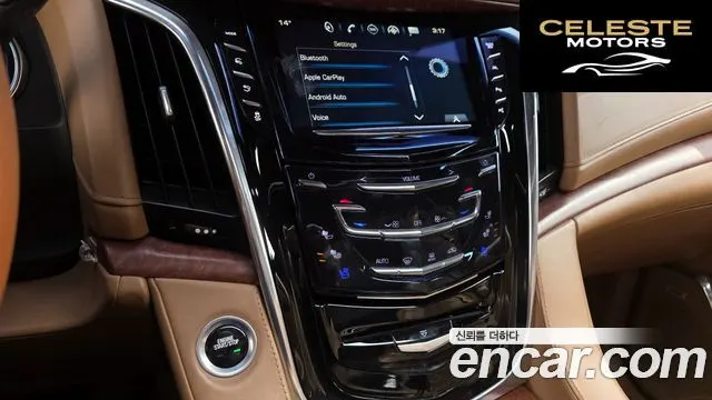 CADILLAC 6.2 ESV 2017 — photo 14 sur 20