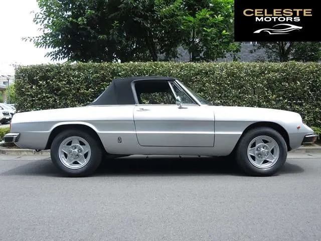 ALFA ROMEO Alfa Spider 1981 — photo 3 sur 8
