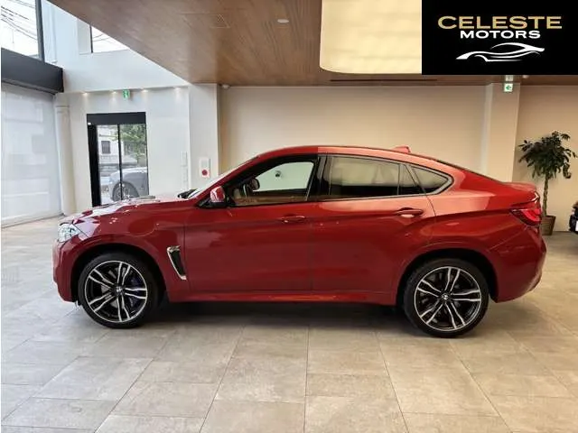 BMW X6 2019 — photo 4 sur 8