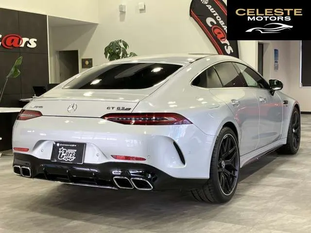 MERCEDES AMG GT 2019 — photo 2 sur 8