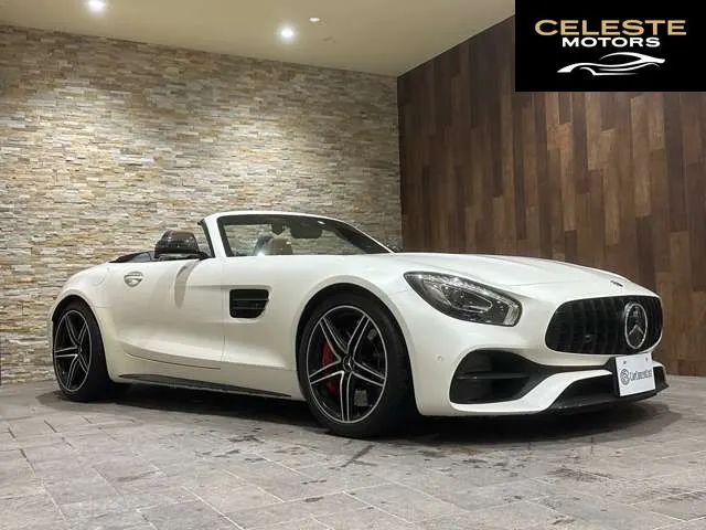 MERCEDES AMG GT 2018 — photo 2 sur 8