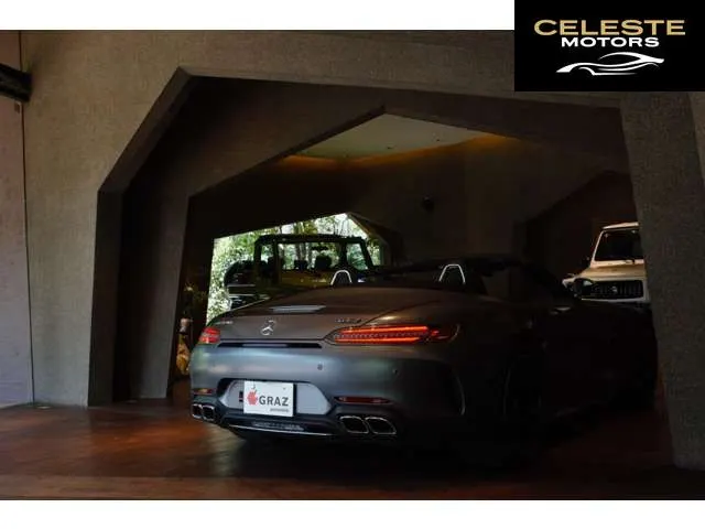 MERCEDES AMG GT 2019 — photo 8 sur 8