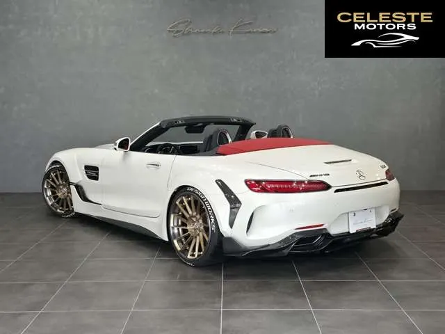 MERCEDES AMG GT 2018 — photo 7 sur 8