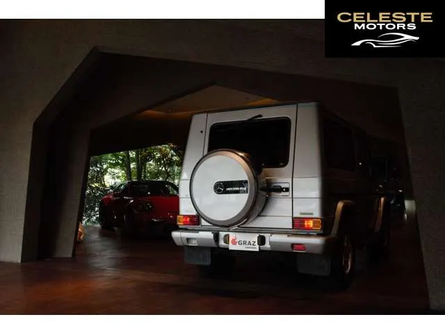 MERCEDES BENZ G-Classe 1996 — photo 6 sur 8