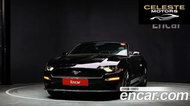 FORD Cabriolet 2019 — photo 3 sur 20