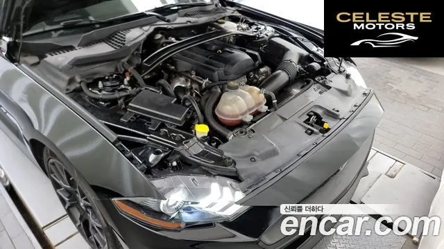 FORD Cabriolet 2019 — photo 6 sur 20