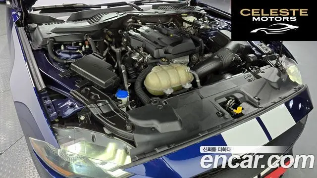 FORD Coupé 2020 — photo 6 sur 20