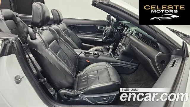 FORD Cabriolet 2021 — photo 10 sur 20