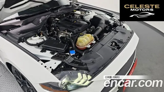 FORD Cabriolet 2021 — photo 6 sur 20