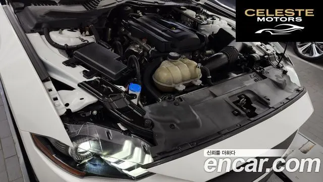 FORD Coupé 2021 — photo 6 sur 20