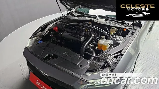FORD 72.3 Premium Cabriolet 2024 — photo 6 sur 20