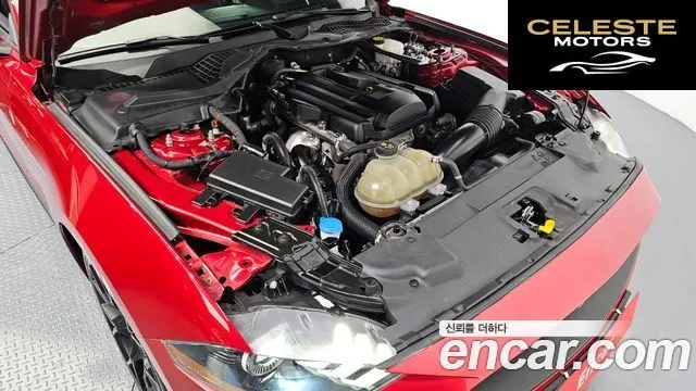 FORD Cabriolet 2021 — photo 6 sur 20