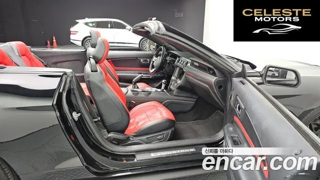 FORD Cabriolet 2019 — photo 12 sur 20