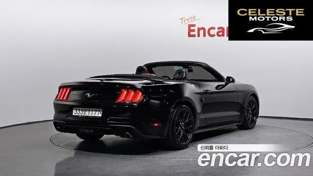FORD Cabriolet 2019 — photo 2 sur 20