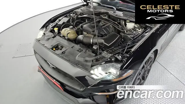 FORD Cabriolet 2019 — photo 6 sur 20