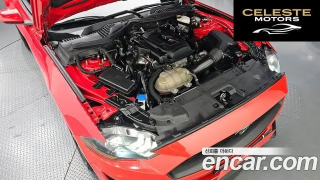 FORD Cabriolet 2021 — photo 6 sur 20