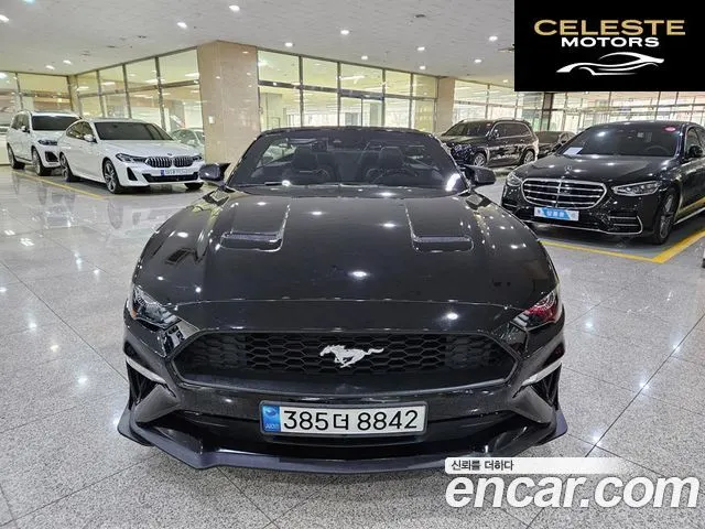 FORD Cabriolet 2019 — photo 2 sur 26