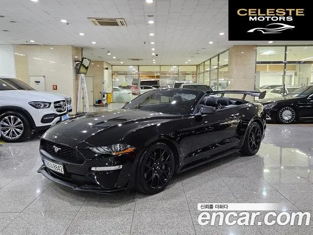 FORD Cabriolet 2019 — photo 23 sur 26
