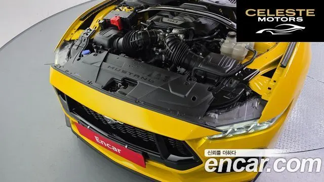 FORD 75.0 GT Premium Cabriolet 2024 — photo 6 sur 20