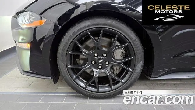 FORD Cabriolet 2022 — photo 5 sur 20