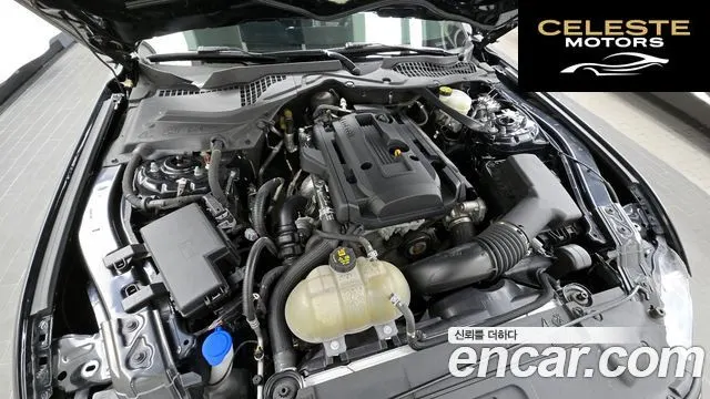 FORD Cabriolet 2022 — photo 6 sur 20
