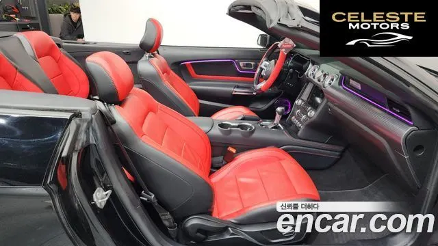 FORD Cabriolet 2019 — photo 11 sur 20