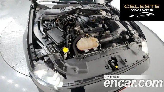 FORD Cabriolet 2019 — photo 6 sur 20